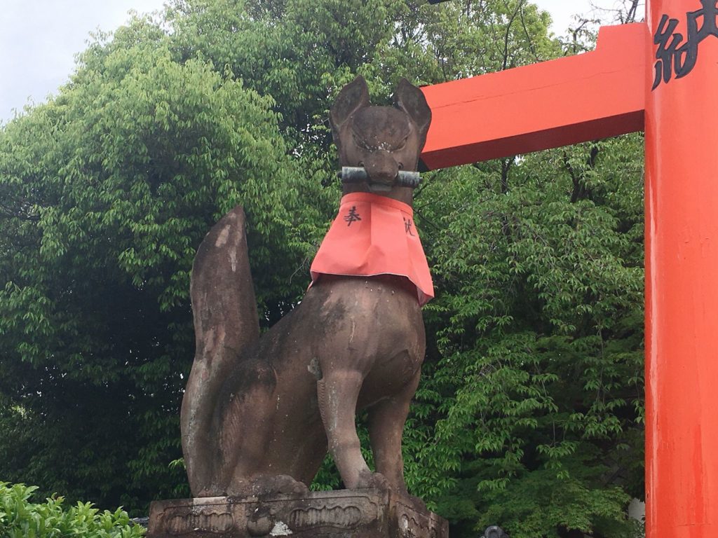 巻物 狐