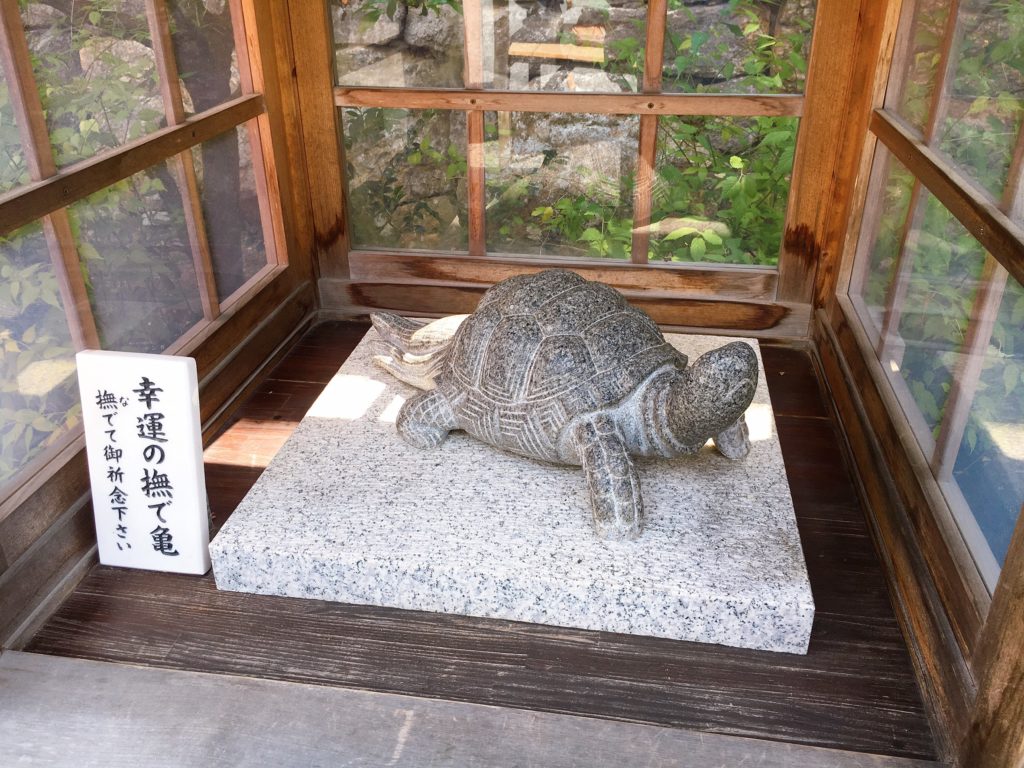 幸運の撫で亀