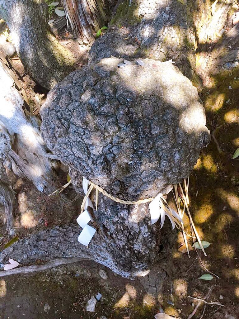 折上稲荷神社 授け脳